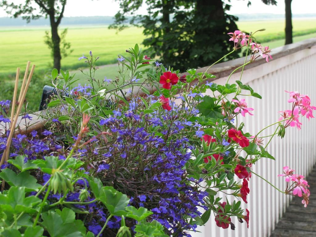 Rustherberg Valthermond Rom bilde